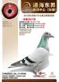 图片暂时未上传