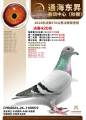 图片暂时未上传