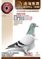 图片暂时未上传