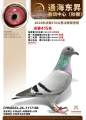 图片暂时未上传
