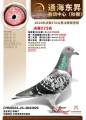 图片暂时未上传