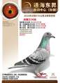 图片暂时未上传