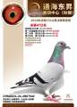 图片暂时未上传