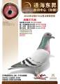 图片暂时未上传