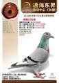 图片暂时未上传