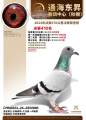 图片暂时未上传