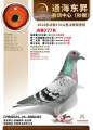 图片暂时未上传
