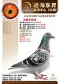 图片暂时未上传