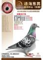 图片暂时未上传