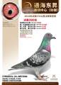 图片暂时未上传