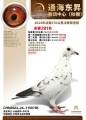 图片暂时未上传