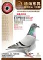 图片暂时未上传