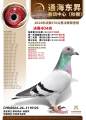 图片暂时未上传