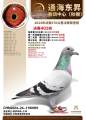 图片暂时未上传