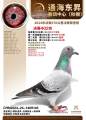 图片暂时未上传