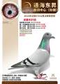图片暂时未上传
