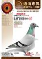 图片暂时未上传