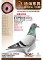 图片暂时未上传