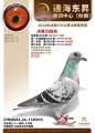 图片暂时未上传