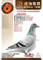 图片暂时未上传