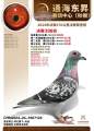 图片暂时未上传