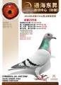 图片暂时未上传