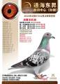图片暂时未上传