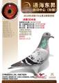 图片暂时未上传