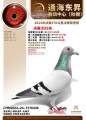 图片暂时未上传