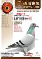 图片暂时未上传