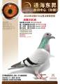 图片暂时未上传