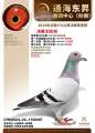 图片暂时未上传