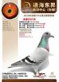 图片暂时未上传