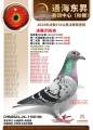 图片暂时未上传