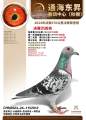 图片暂时未上传