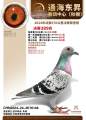 图片暂时未上传