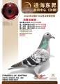 图片暂时未上传