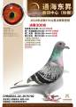 图片暂时未上传