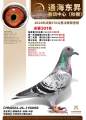 图片暂时未上传
