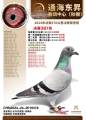 图片暂时未上传