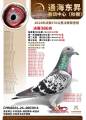 图片暂时未上传