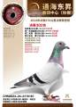 图片暂时未上传
