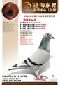 图片暂时未上传