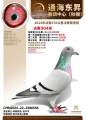 图片暂时未上传