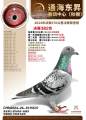 图片暂时未上传