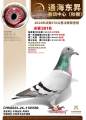 图片暂时未上传