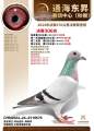图片暂时未上传