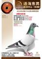 图片暂时未上传