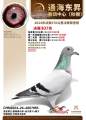 图片暂时未上传