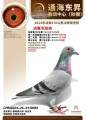 图片暂时未上传